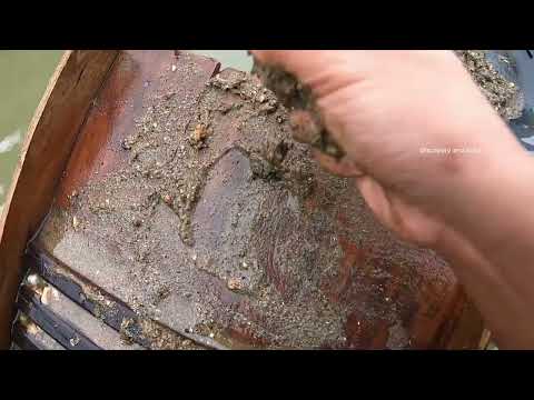 A Massive Hidden Treasure Found After Years of Searching