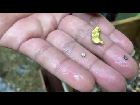 Wow I found a lot of GOLD in a stream that contained a lot