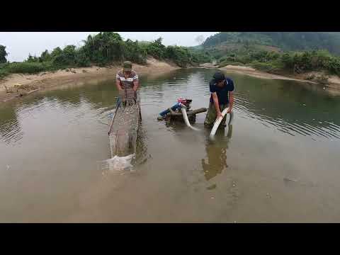 Secret of Natural Gold Revealed A Real Gold Rush Begins gold