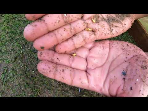Unexpected Gold Mine Discovery This Changes Everything gold