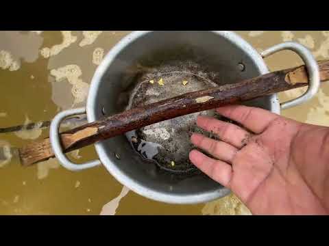 Remote Gold Hunt Reveals an Incredible Secret gold
