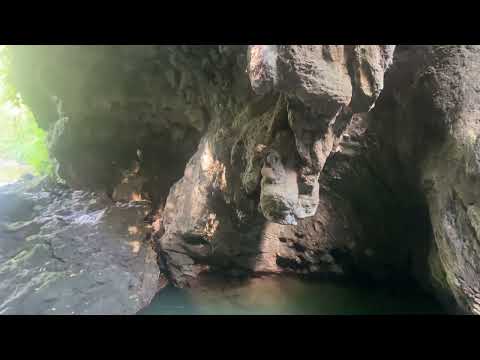 A daring hunt for hidden golden treasure in the pristine