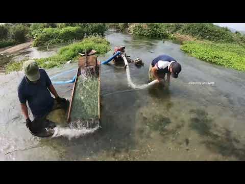 Gold Panning Dredging Amazing Gold Discovery goldmines gold