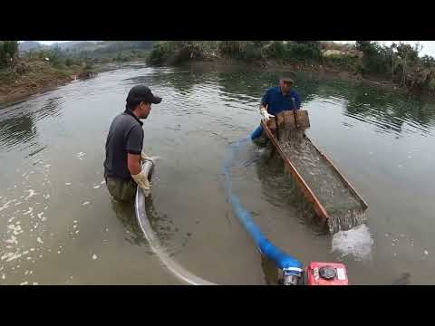 Gold hunting adventure in a location overflowing with