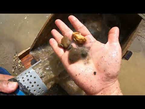 Real Gold Rush Hidden Beneath the River Life Changing