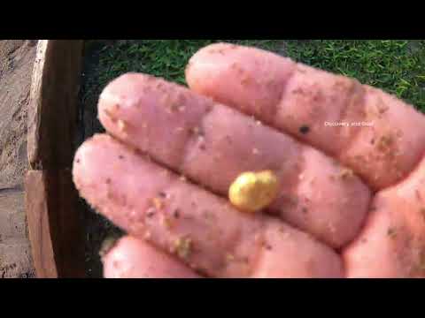 Extreme River Gold Hunting Adventure gold goldmining