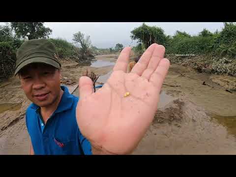 Real Gold Rush Massive Gold Nuggets Hidden Under Black Sand