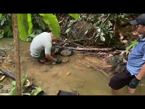 Searching for gold with primitive tools in rivers and