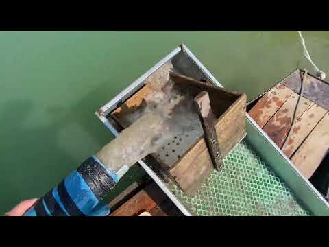 Secret Gold Discovery gold