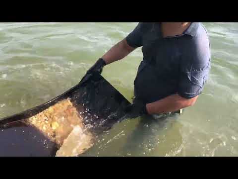 Gold Buried Deep Below the River goldmines gold goldmining