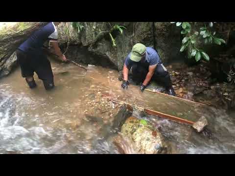 Shock Mining Natural GOLD for Big Profit
