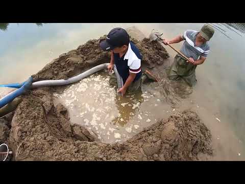 Insane Gold Rush Moment Giant Nuggets Revealed gold