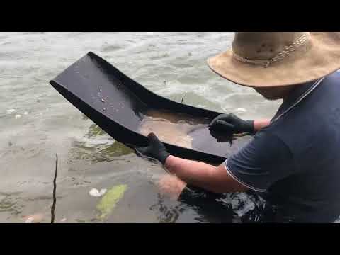 We found SO much GOLD goldmines gold goldmining goldrush