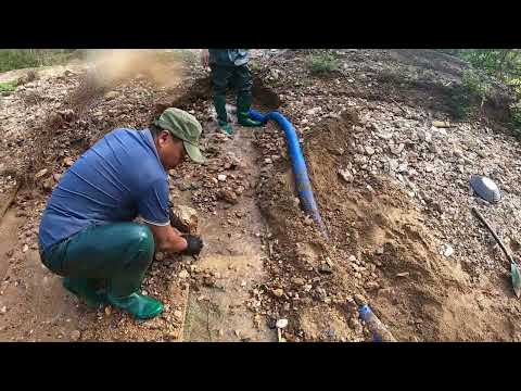 The True Story of Our Big Gold Discovery goldmines gold
