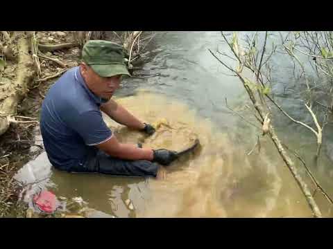 Exploring the Richest River of Gold Ever Discovered