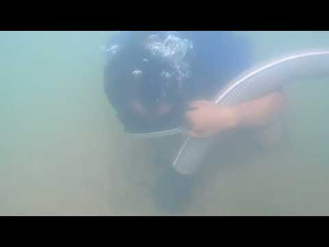 Unbelievable Gold Discovery gold