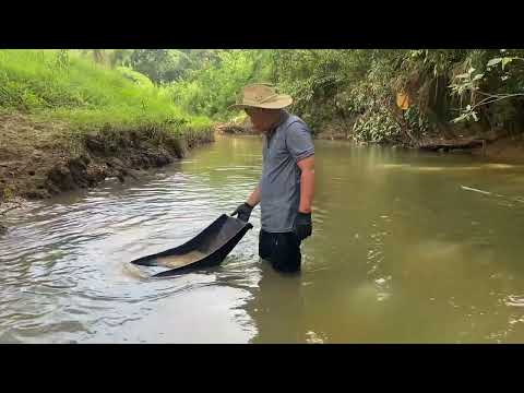 Gold Beneath the Surface A Hidden Treasure Story goldmines