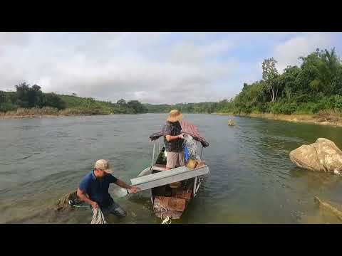 The Pay Dirt Secret gold