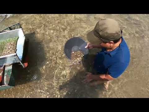 A Secret Gold Discovery Deep Underwater gold