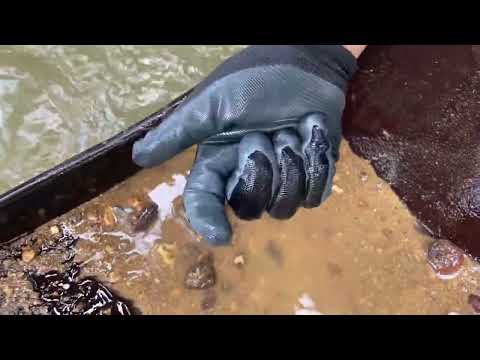 Mystery of the Sunken Gold goldmines gold goldmining