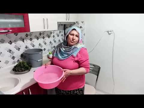 ISPANAK AKŞAM AKŞAM BEN GENE BAŞIMA İŞ ÇIKARDIM