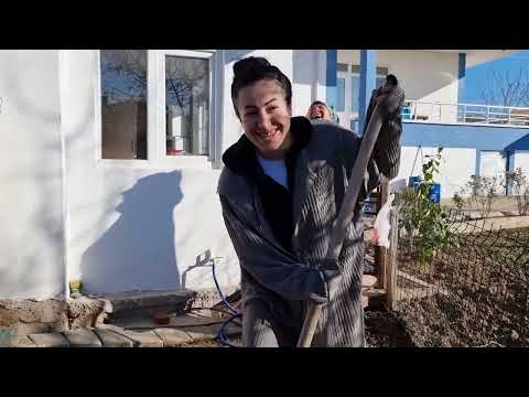 Ablamla Elimiz Kolumuz Durmuyor Tavuklarımız