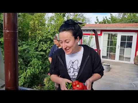 SABAH HOŞ SOHBETLİ ÇEKİŞMELİ KAHVALTI HAZIRLIĞI