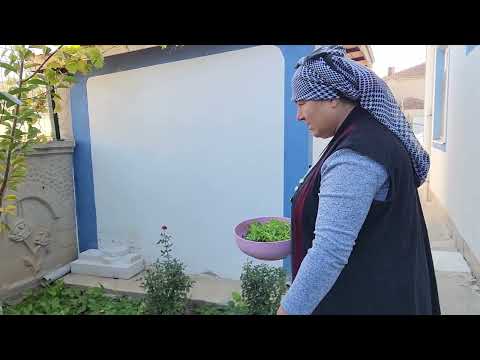 BAHÇE TURUMUZ SEVİMLİ DOSLARIMIZ VE TAVUKLARIMIZ