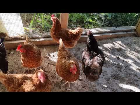 GÜLCANI YOLCU EDİYORUZ İSTANBULA VLOGK