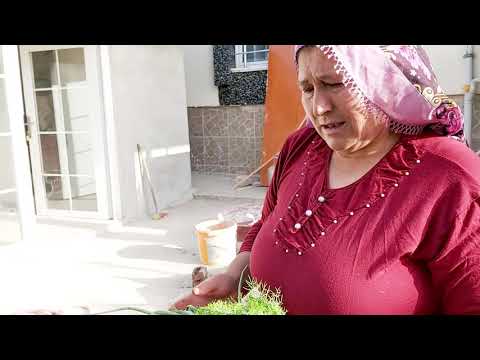 HATİCE HANIMIN BAHÇESİNDE BAKALIM NELER VAR SABAH