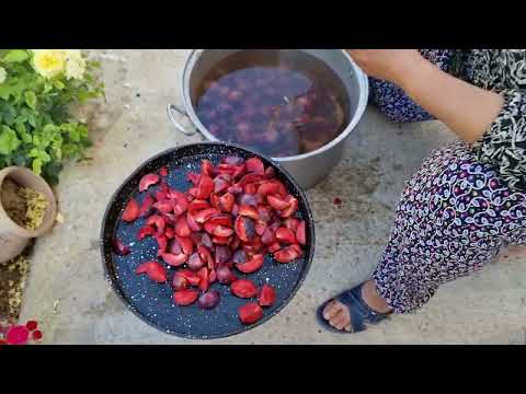 DERİN DODUNRUCUYA KIŞA KOMPOSTOLUK ERİK