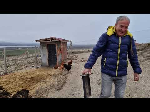 KÖYDE YAŞAM NASIL GEÇİYOR NELER YAPIYORUZ SEVİMLİ TAVUKLAR