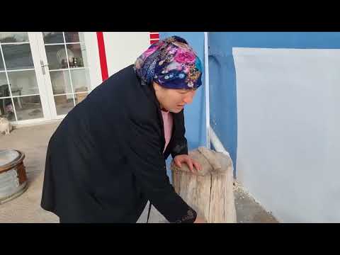 BAHÇEDEYİZ TAVUKLARIN KEDİLERİN BAKIMI TEMİZLİĞİ