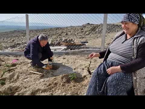 SEYİT KARDEŞİMİN SAYESİNDE BAHÇEMİZ ÇİÇEKLERLE DOLDU BOL