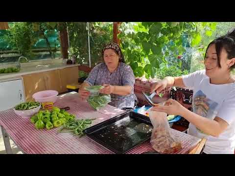 ARI GİBİ ÇALIŞIYORUZ DOLABA KIŞLIK YİYECEK BAHÇE TEMİZLİĞİ