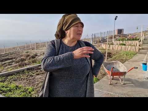 BAHÇEMİZDE BUGÜN NELER VAR NELER YAPIYORUZ HATİCE HANIM