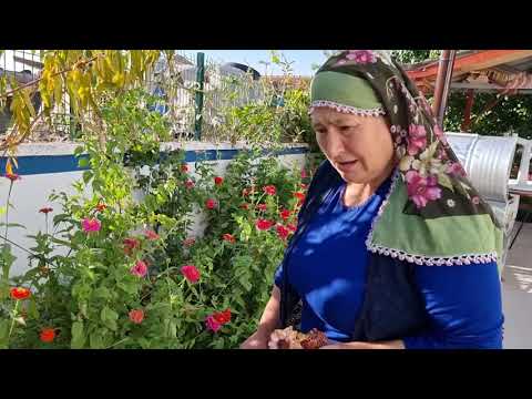 SABAH MARATONU HATİCE HANIMA YARANILMIYOR
