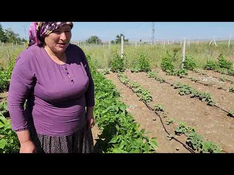 BAHÇE TURUMUZ DEĞİŞİMLER VAR HATİCE HANIM ÖZLEMİŞ
