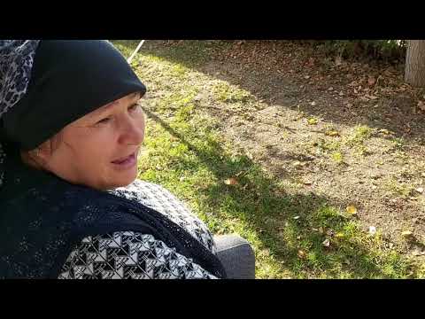 GÜZEL BİR GÜN SONBAHAR MINTIKA TEMİZLİĞİ