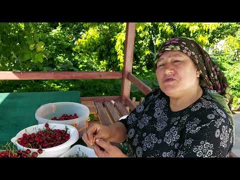 SABAHTAN AKŞAMA YAPTIKLARIMIZ VARİLDEN MAGAL VE KUZİNE SOBA