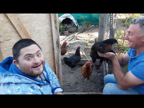 KÖPEKLERLE TAVUKLARLA KOMİK ANLAR