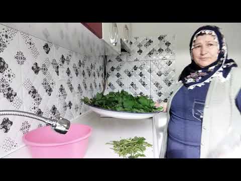 Bu Yeşilliği Bilmeyen Kalmasın