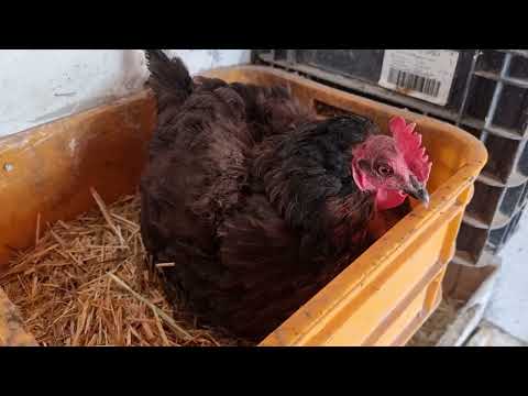 BAHAR GELDİ İŞLER BİTMİYOR YAZA HAZIRLIK