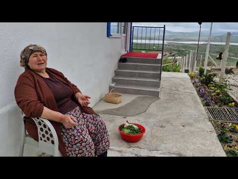 YENİ HAYVAN BARINAĞIMIZIN YERİNE TAŞ TAŞIYORUZ HETİCE HANIM