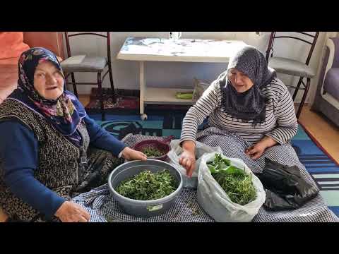 HATİCE HANIMIN KÖYÜNDEYİZ BÜYÜKLERİMİZİ ZİYARET ETTİK
