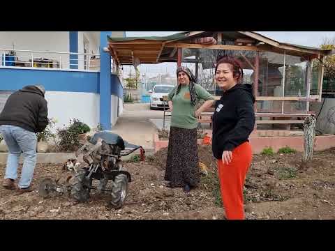 GÜLCAN TAVUKLARI DIŞARI SALDI ANNEMDEN HEM KORKTU NEYSEKİİ