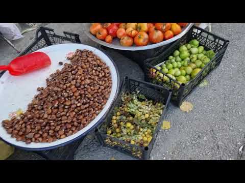 KÖYÜMÜZDEYİZ BABAMIN OKUDUĞU OKUL VE PAZAR DA KOMİK ANLAR