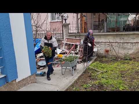 BAHÇE DÜZENLEMESİ VE BABAM KUŞ YAKALAMAYA ÇALIŞTI AMA