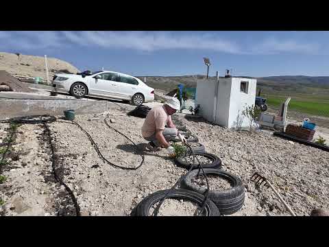 YENİ FİDELERİMİZİ TOPRALA BULUŞTURDUK HATİCE HANIMLA KAVGA