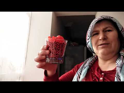 BOL SOHBETLİ EV TEMİZLİĞİ VLOG